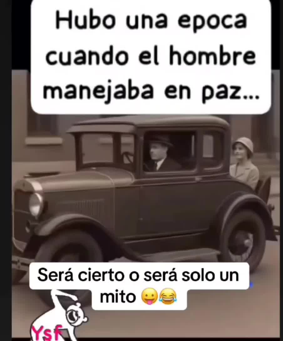@el panda solitario