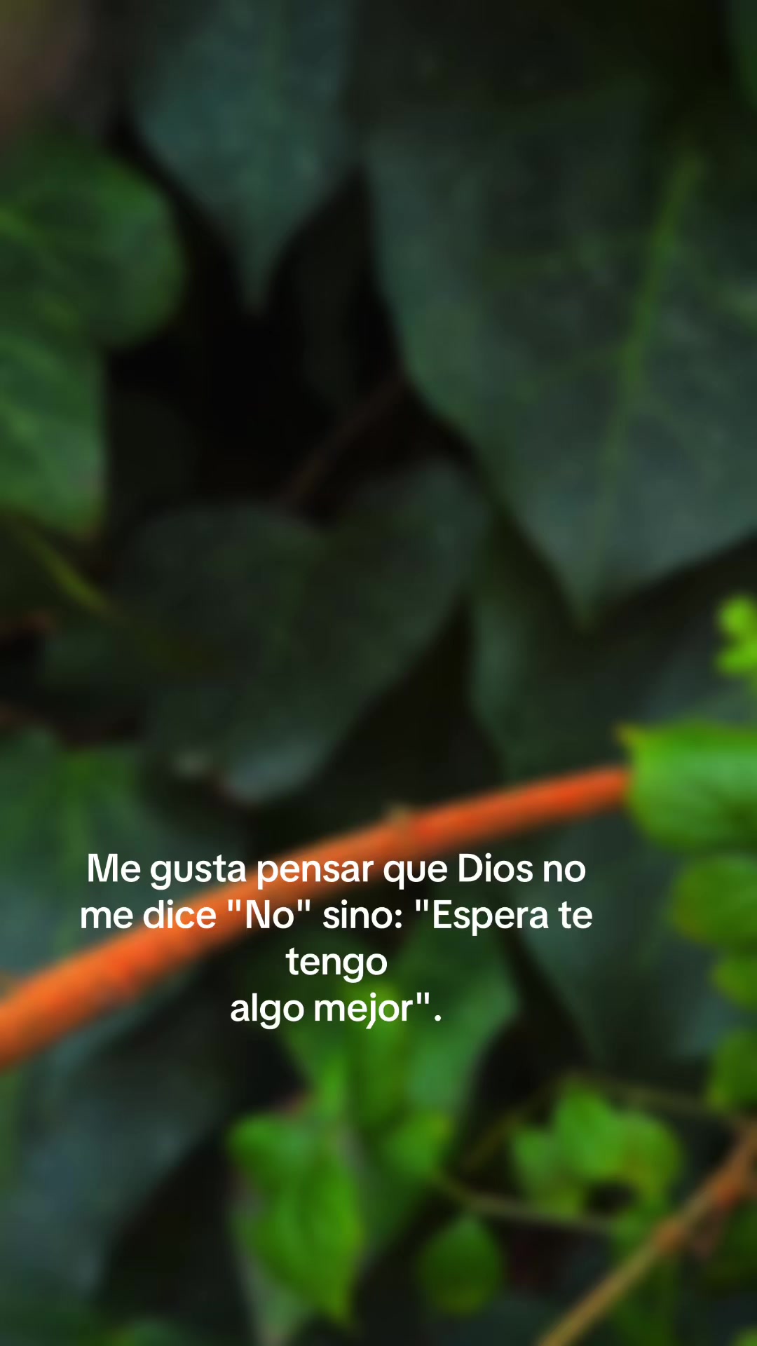 @Claudia