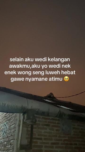 @ternosontek⚡