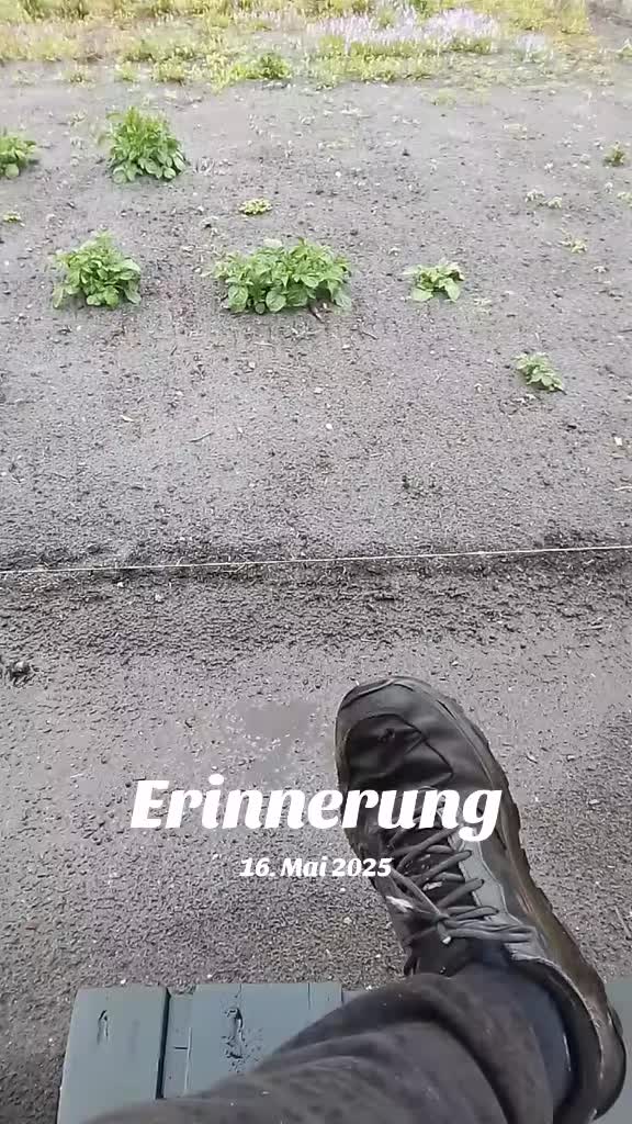 @Torsten 🇩🇪