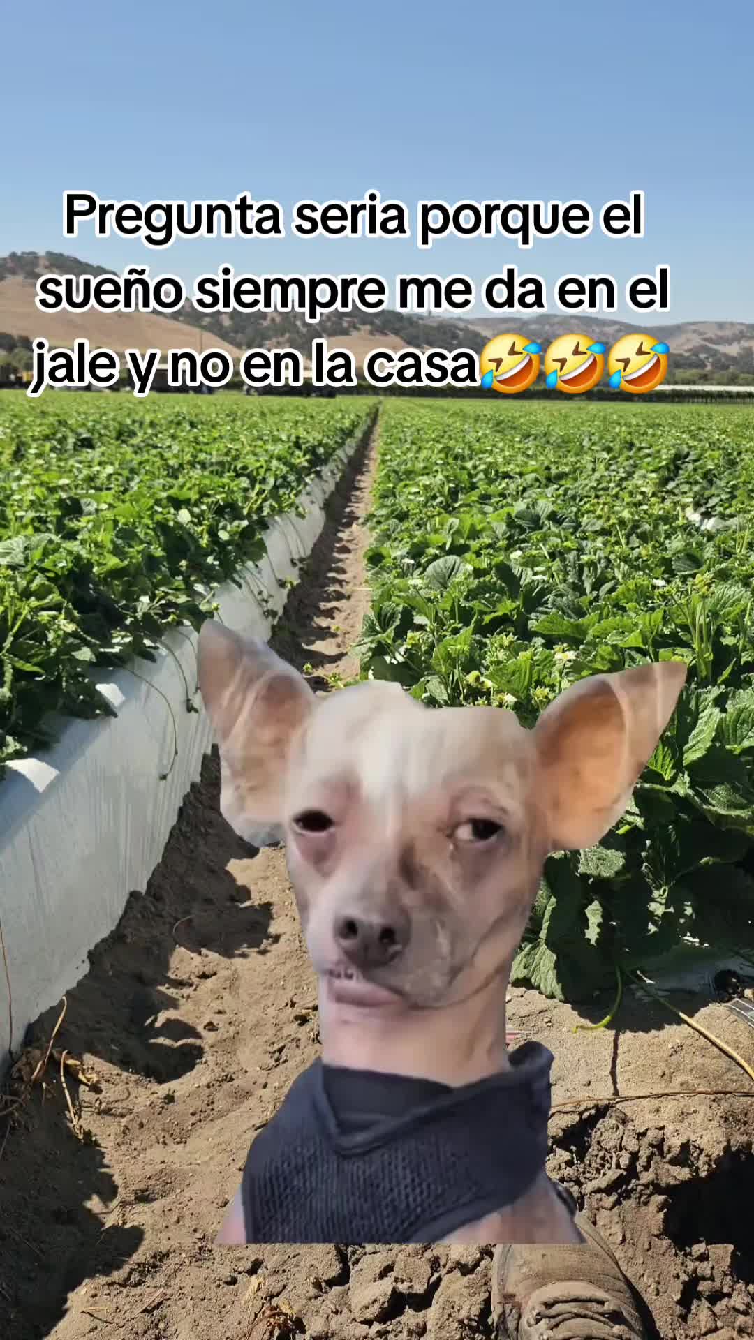 @🇲🇽🐦⬛🪺VASQUEZ🚚🌪💎