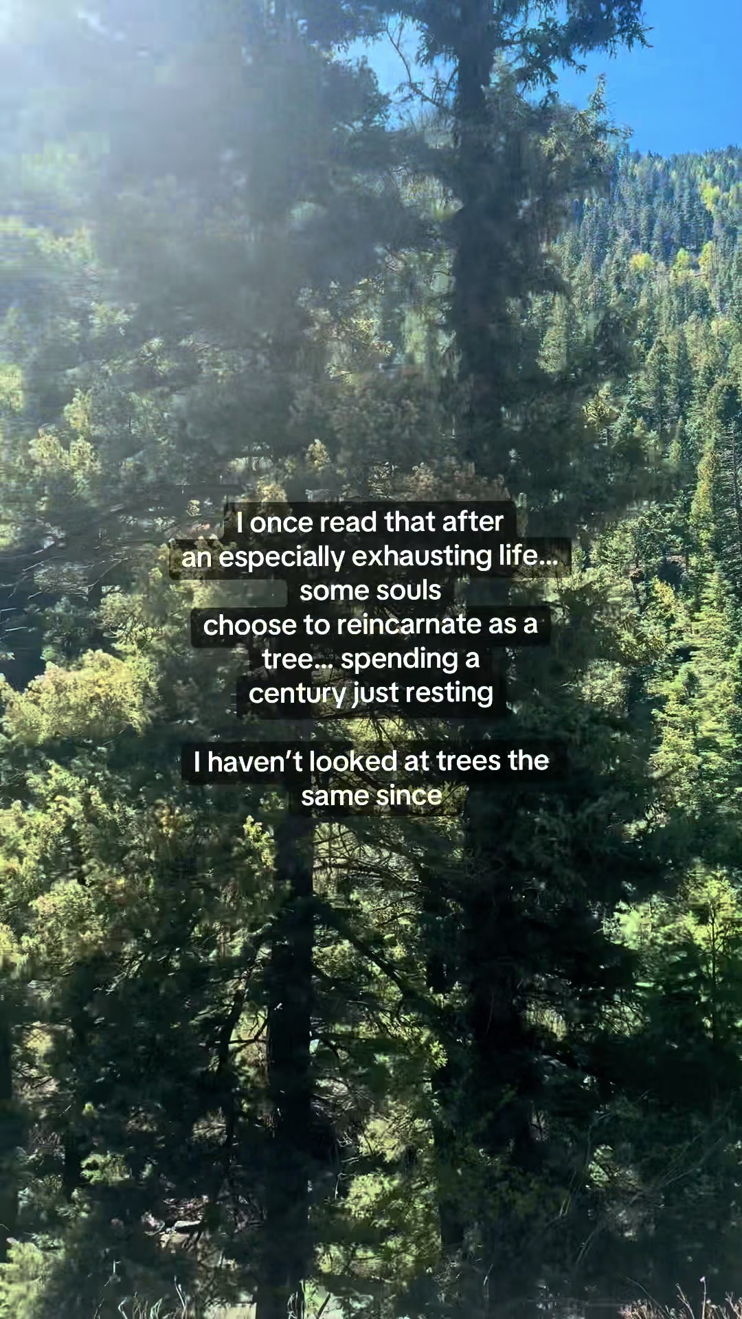 @Jasmin | A Rooted Life