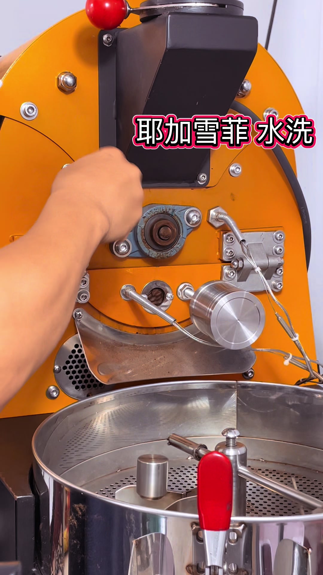 @老農與白雪公主的結晶