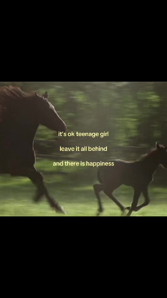 @1.1ʏ