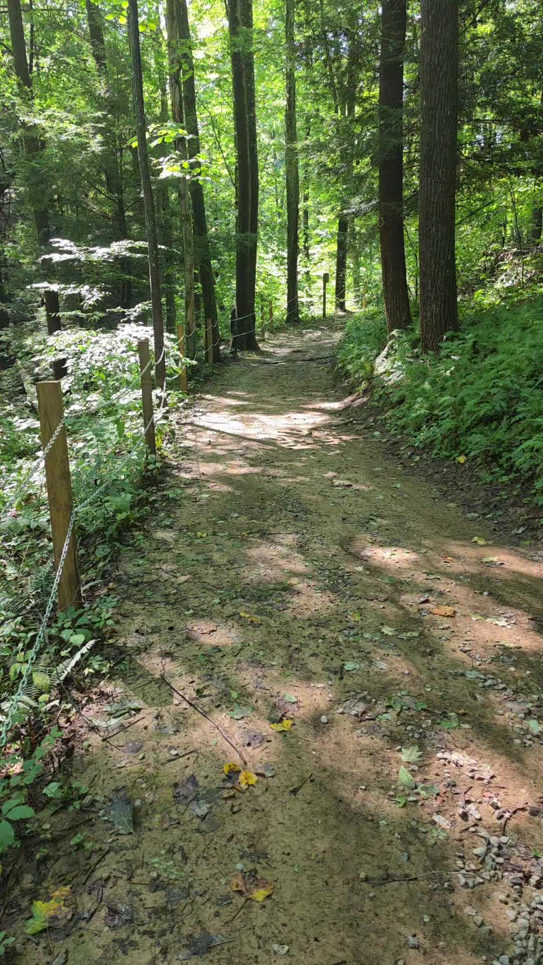 @adventure girl