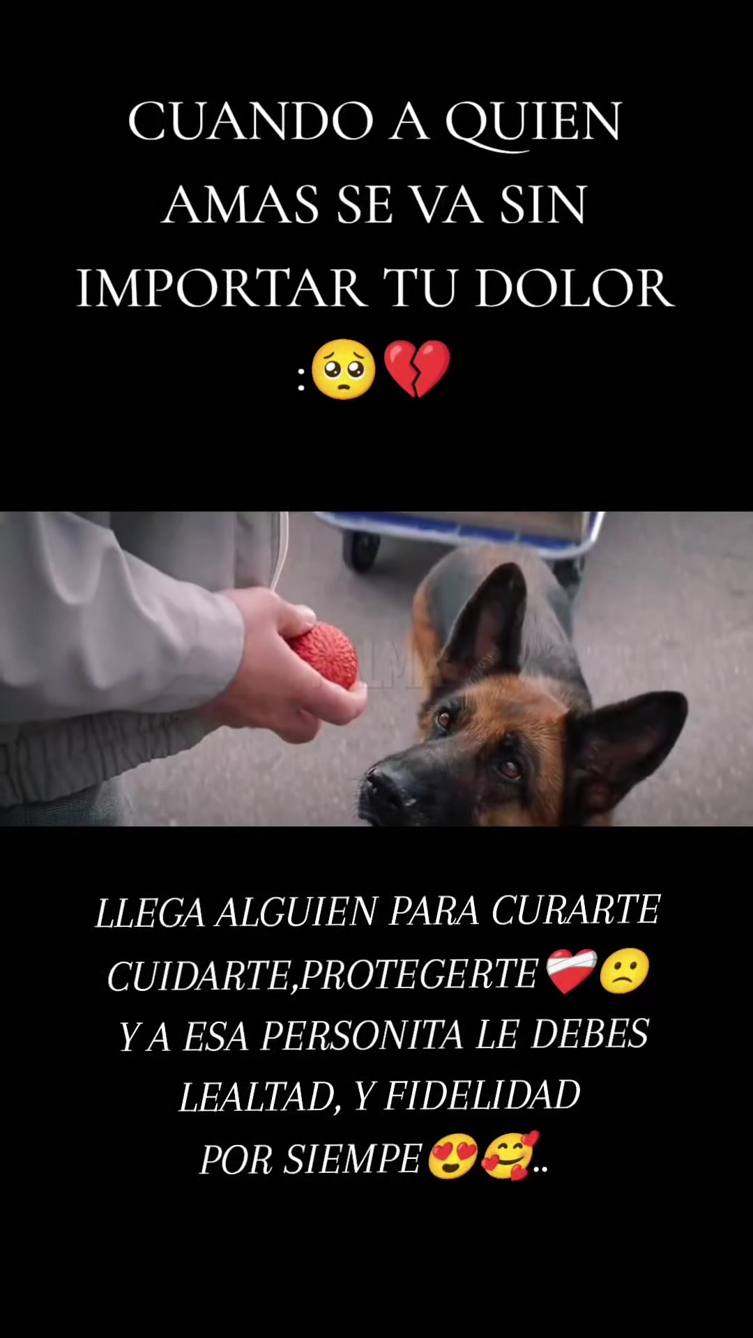 @Tatiana Galeano