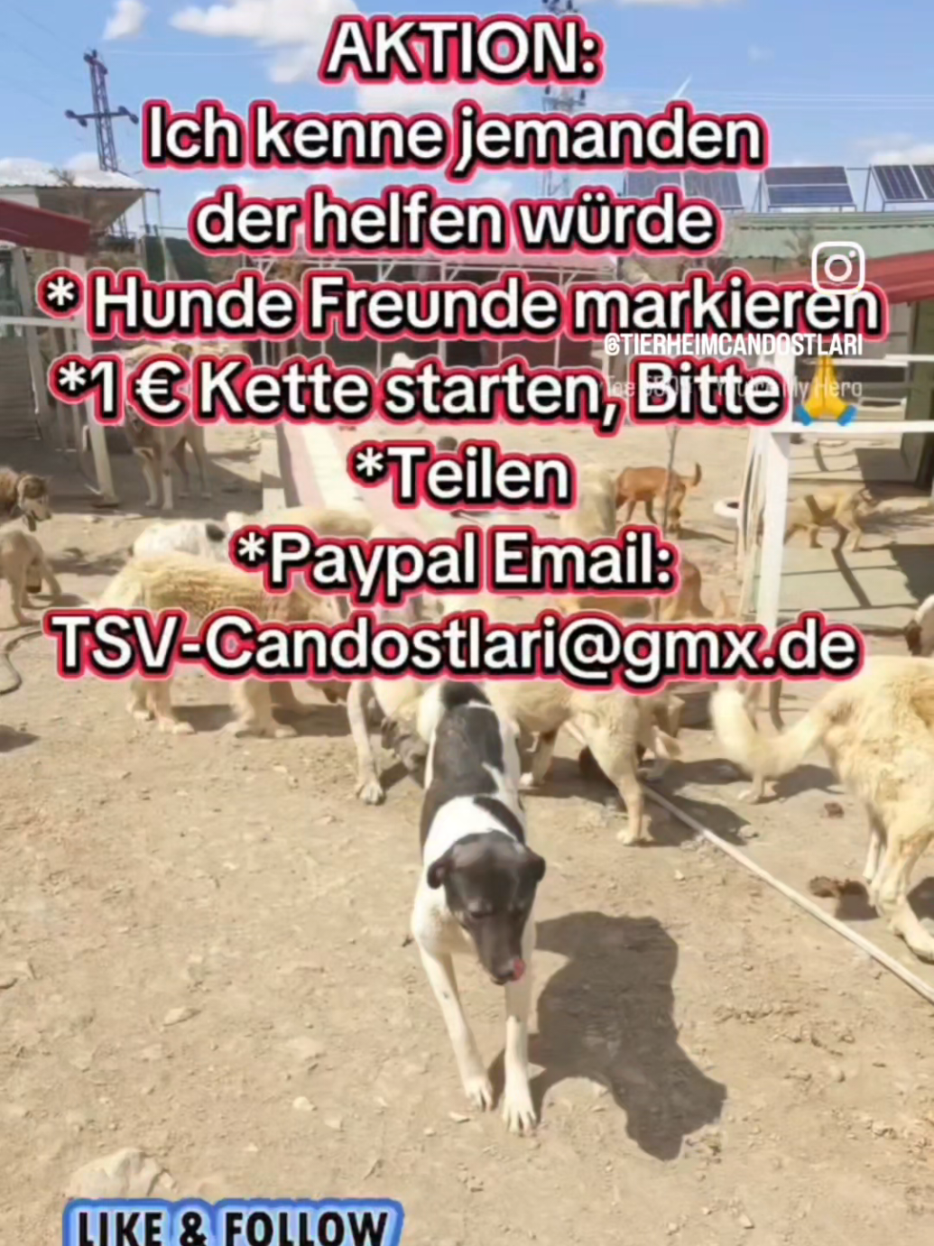 @TSV Candostlari-Beste Freunde