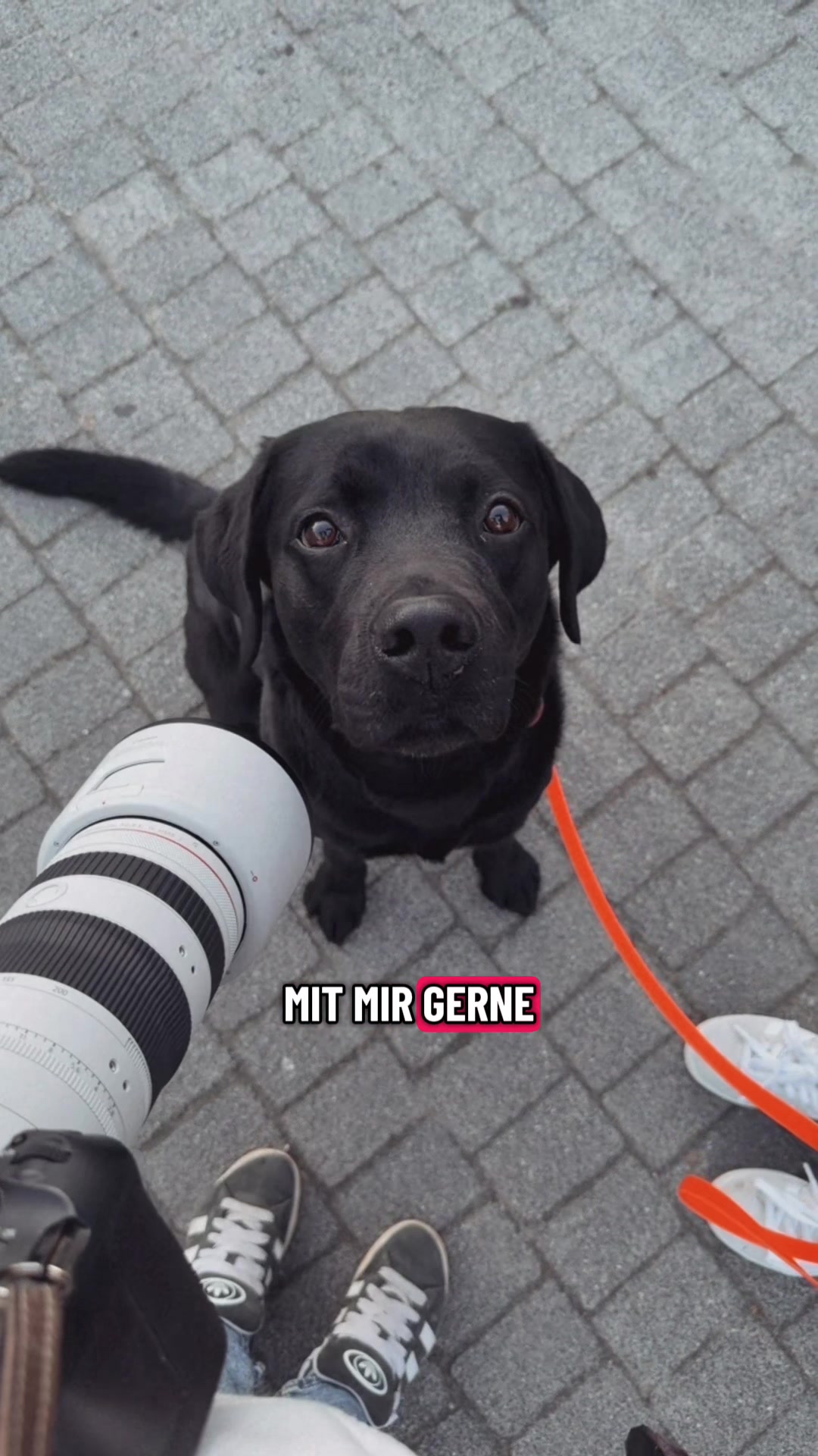 @mialian_lens Fotografie