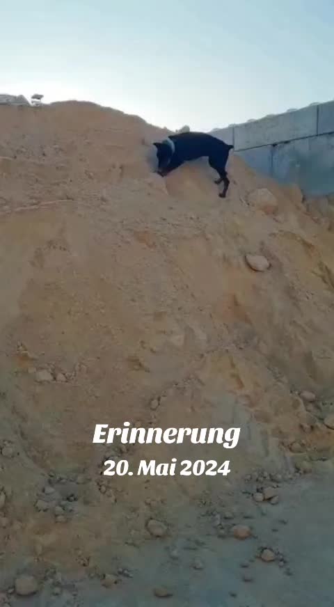 @🦊Rotfüchsin🦊