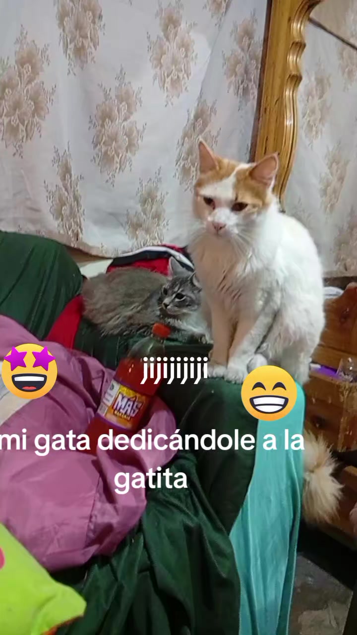 @Hildita Obando