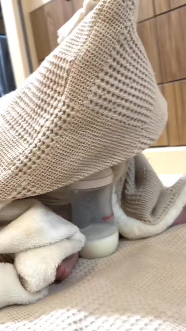 @𝑂𝑅𝑋𝐴𝑁
