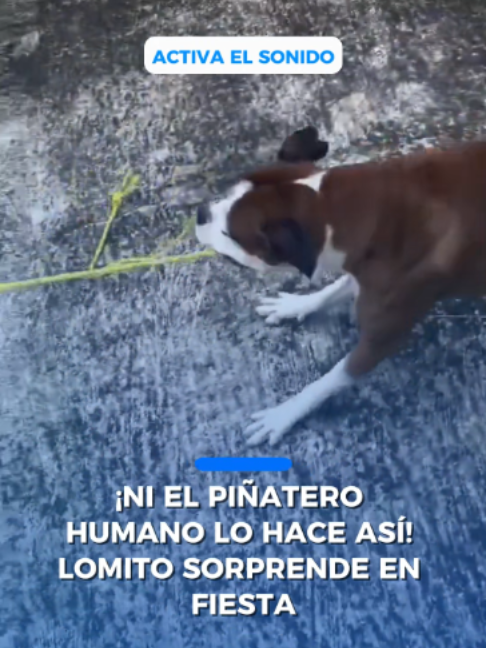 @Peri&oacute;dico El Mexicano