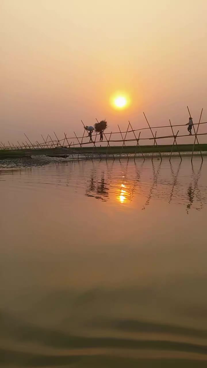 @mdjamir989