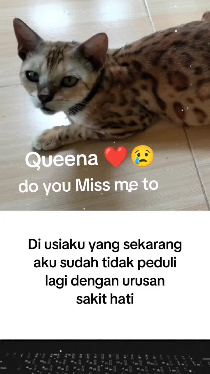@🍂 *M00N_V31L*🍁