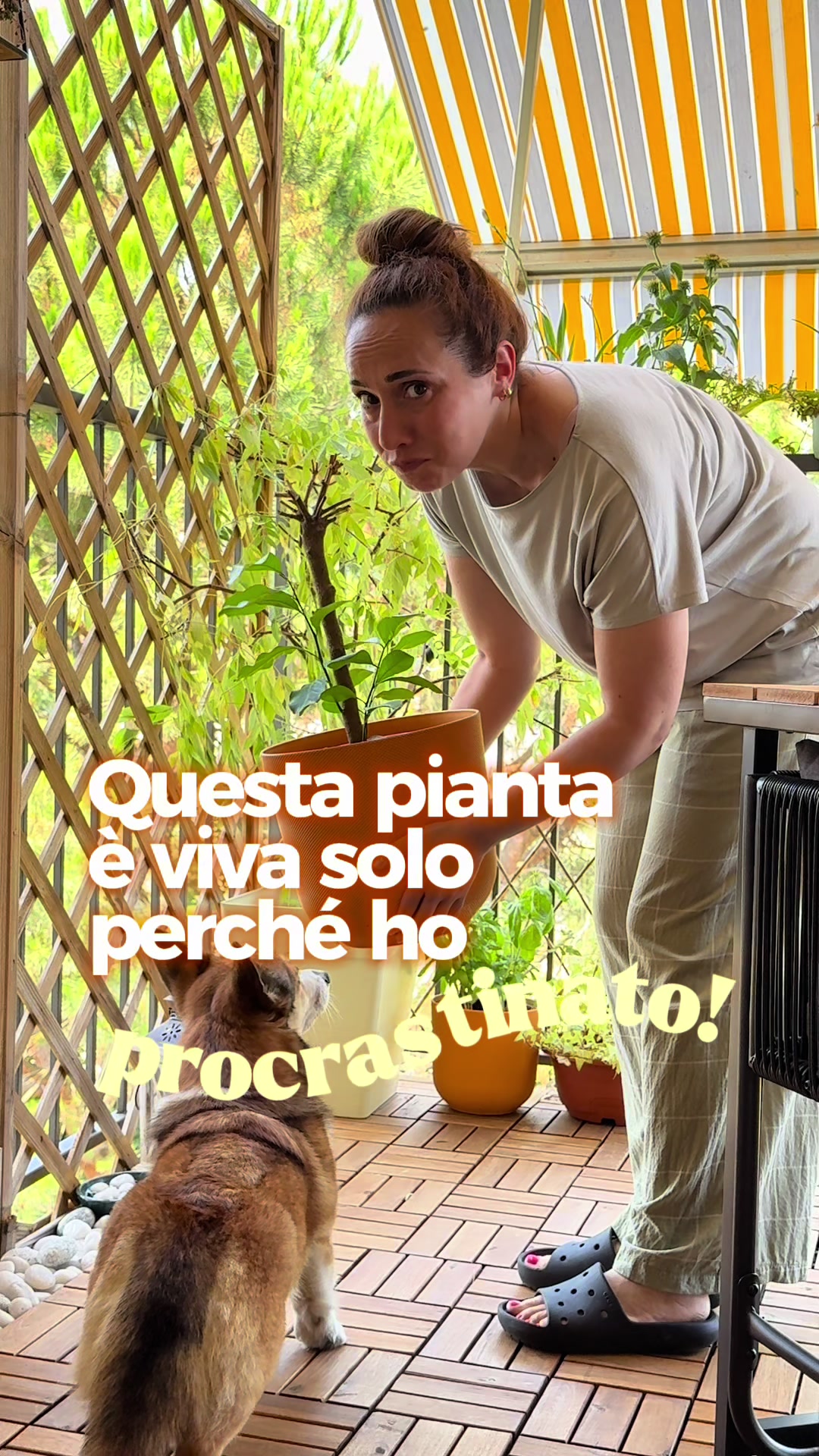@Dora Delton | Piante & DIY
