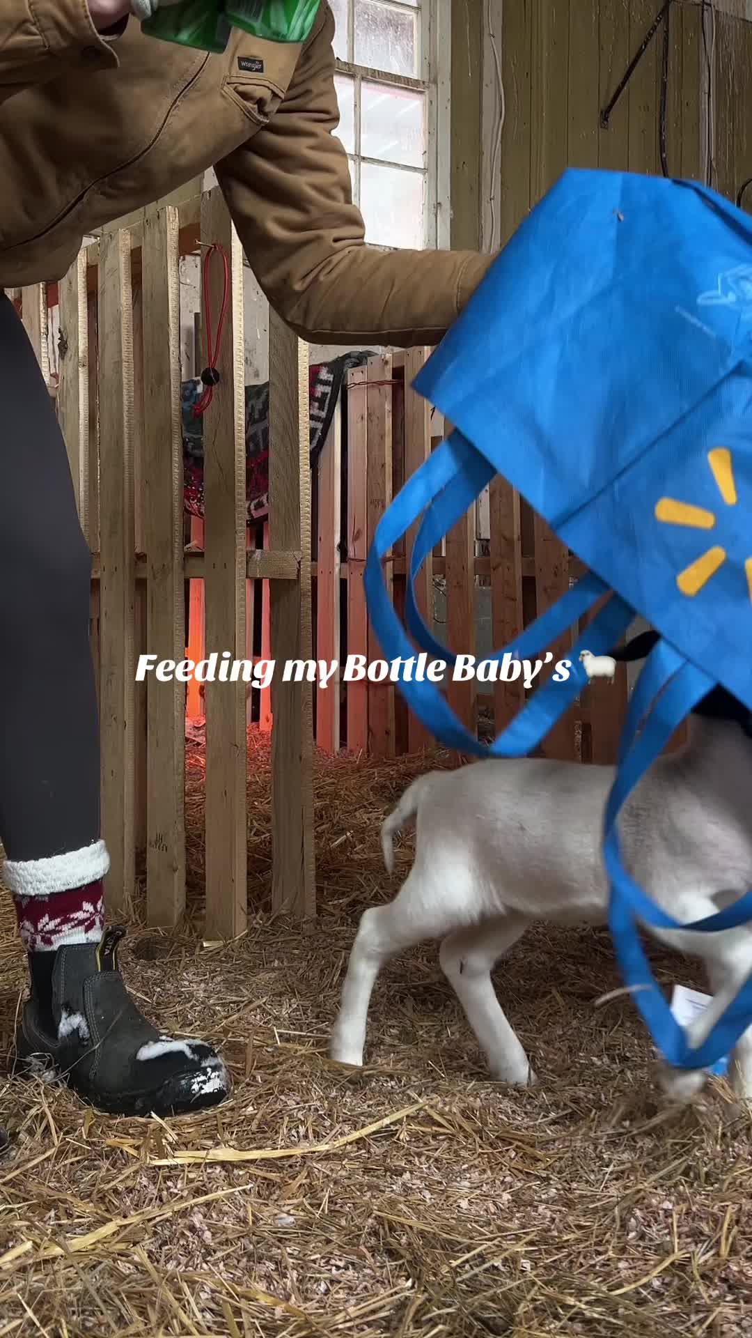 @sagewatson