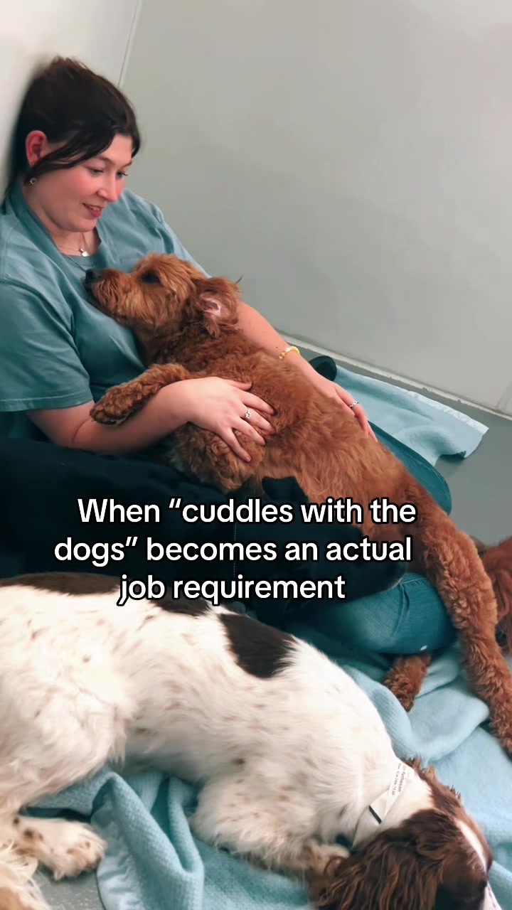 @GoDog Durham