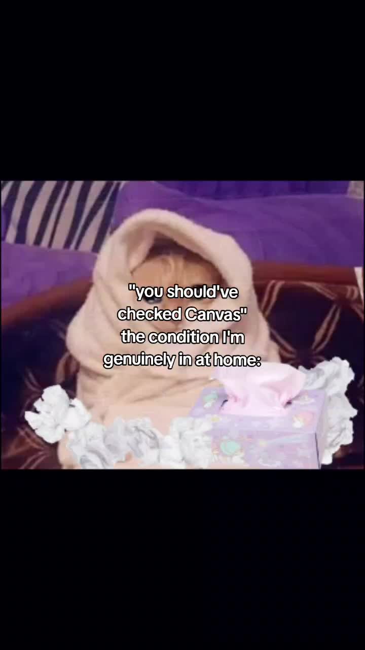 @𝓪𝓵𝓵𝓲𝓮𝓼🍝