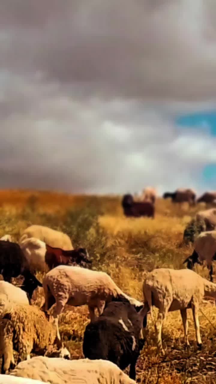 @Ãli khadroui ❤️🔥