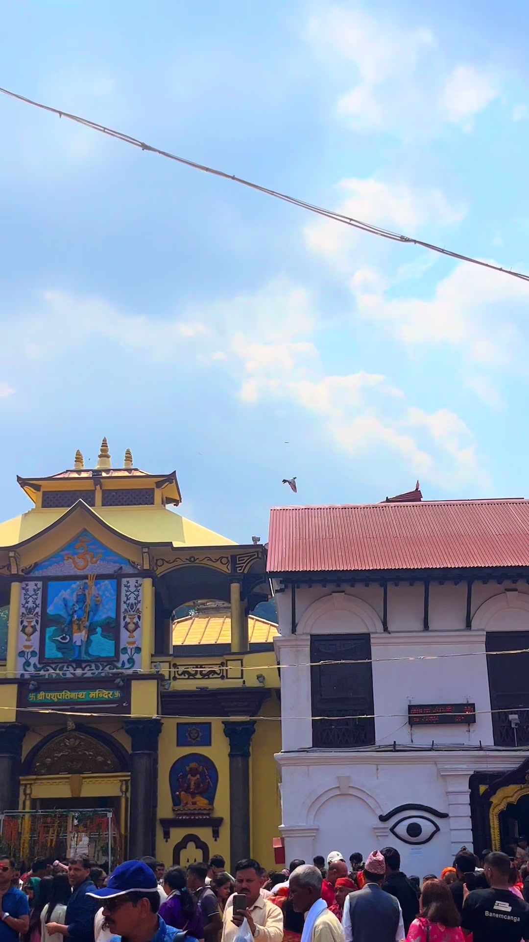 @xettree_birendra