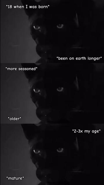 @🐈&zwj;⬛