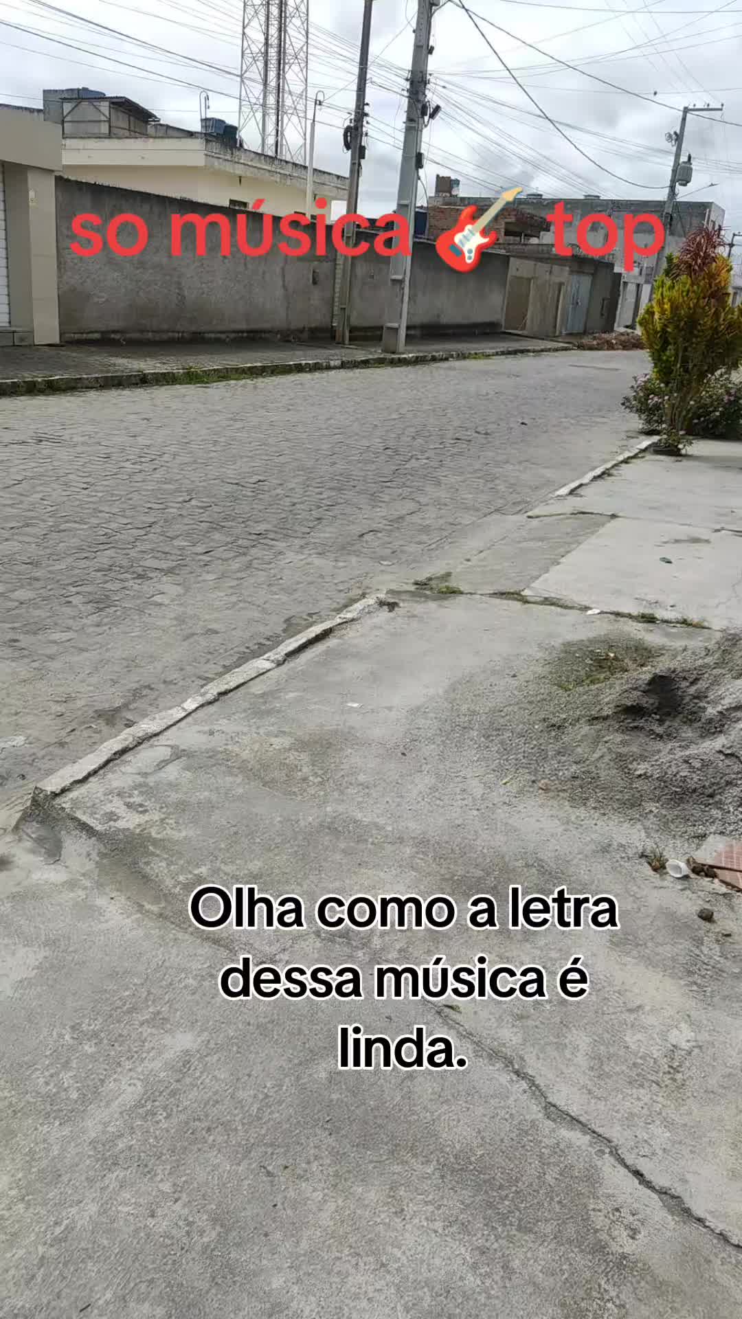 @Célia das músicas top