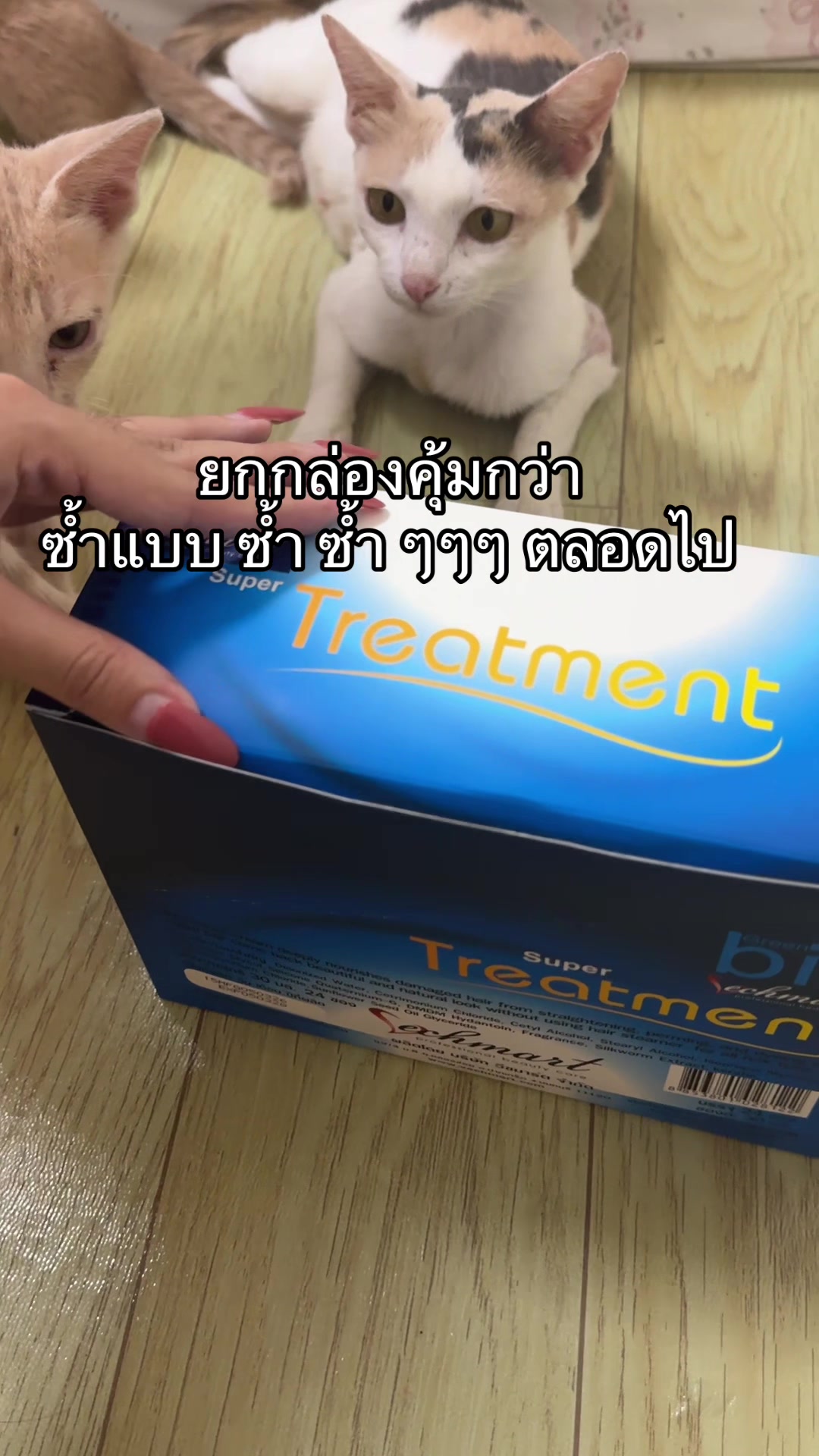 @PB(ผักบุ้ง)