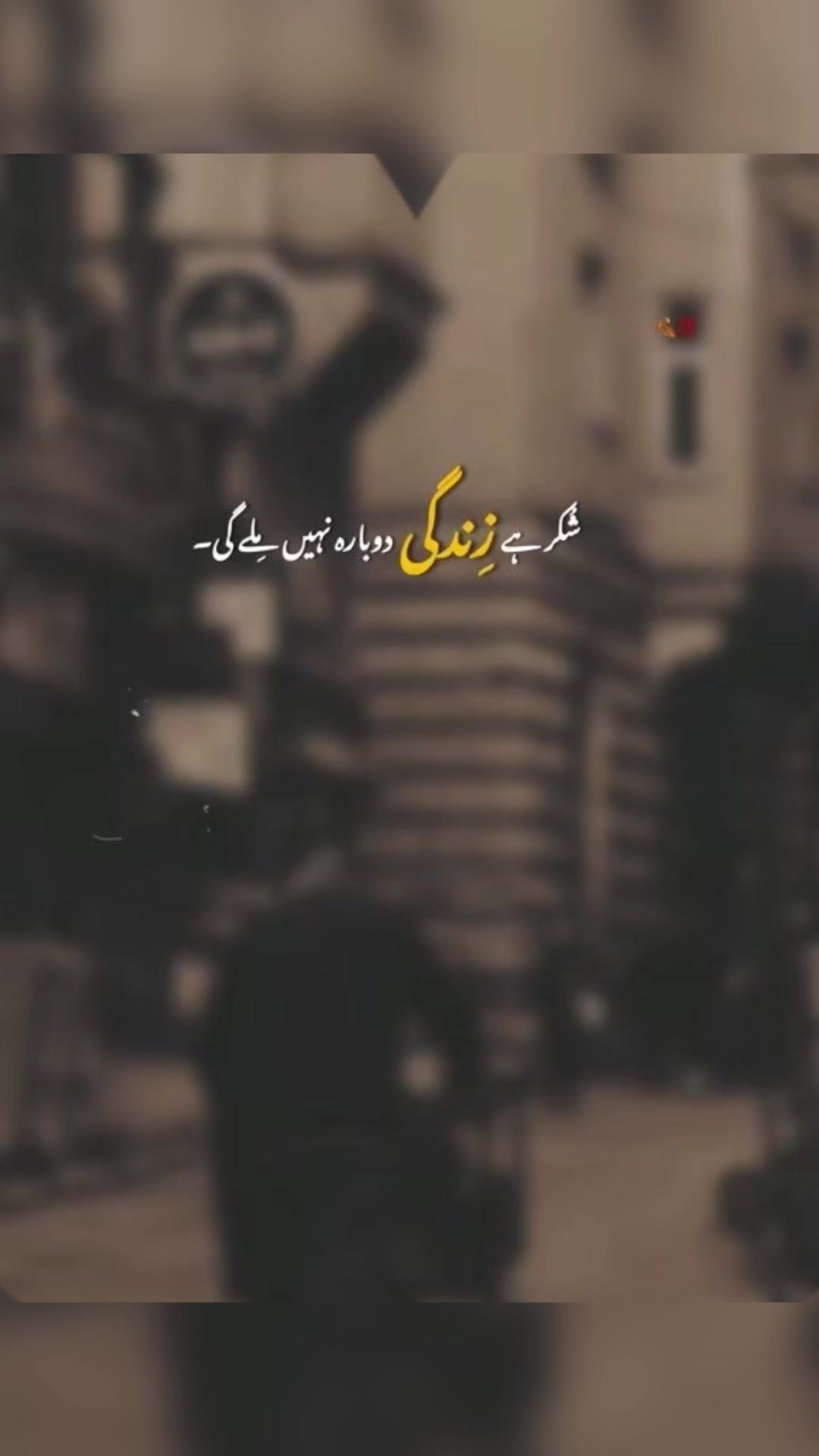 @habibausa1234