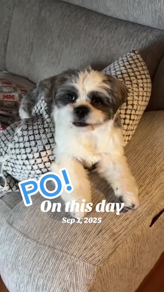 @bonnie_is_here