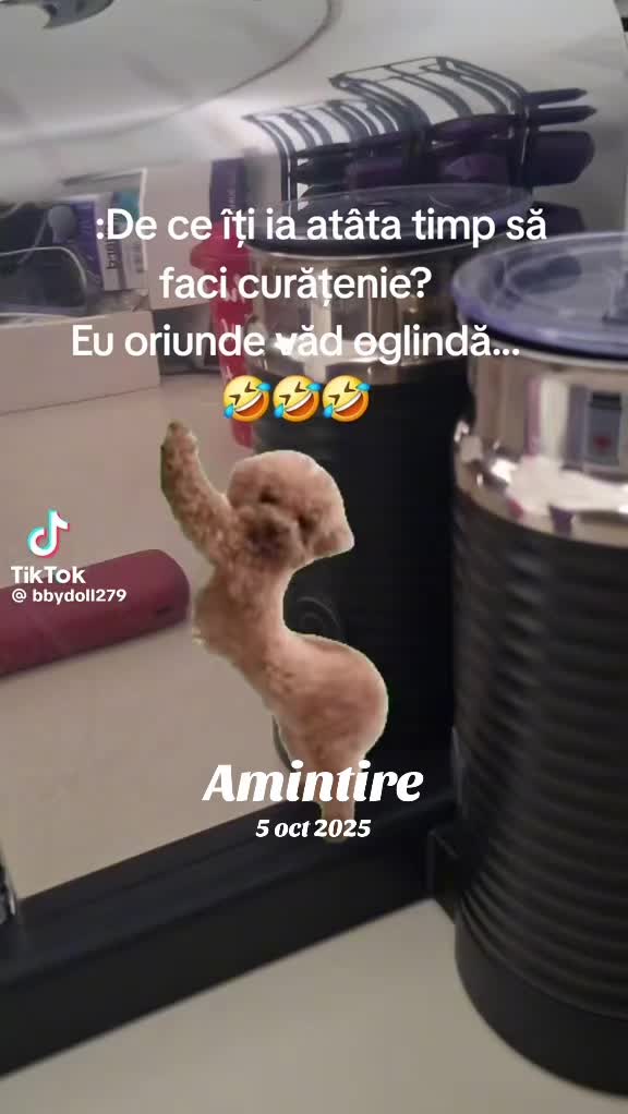 @Anamariya🩷❤️❤️🩷