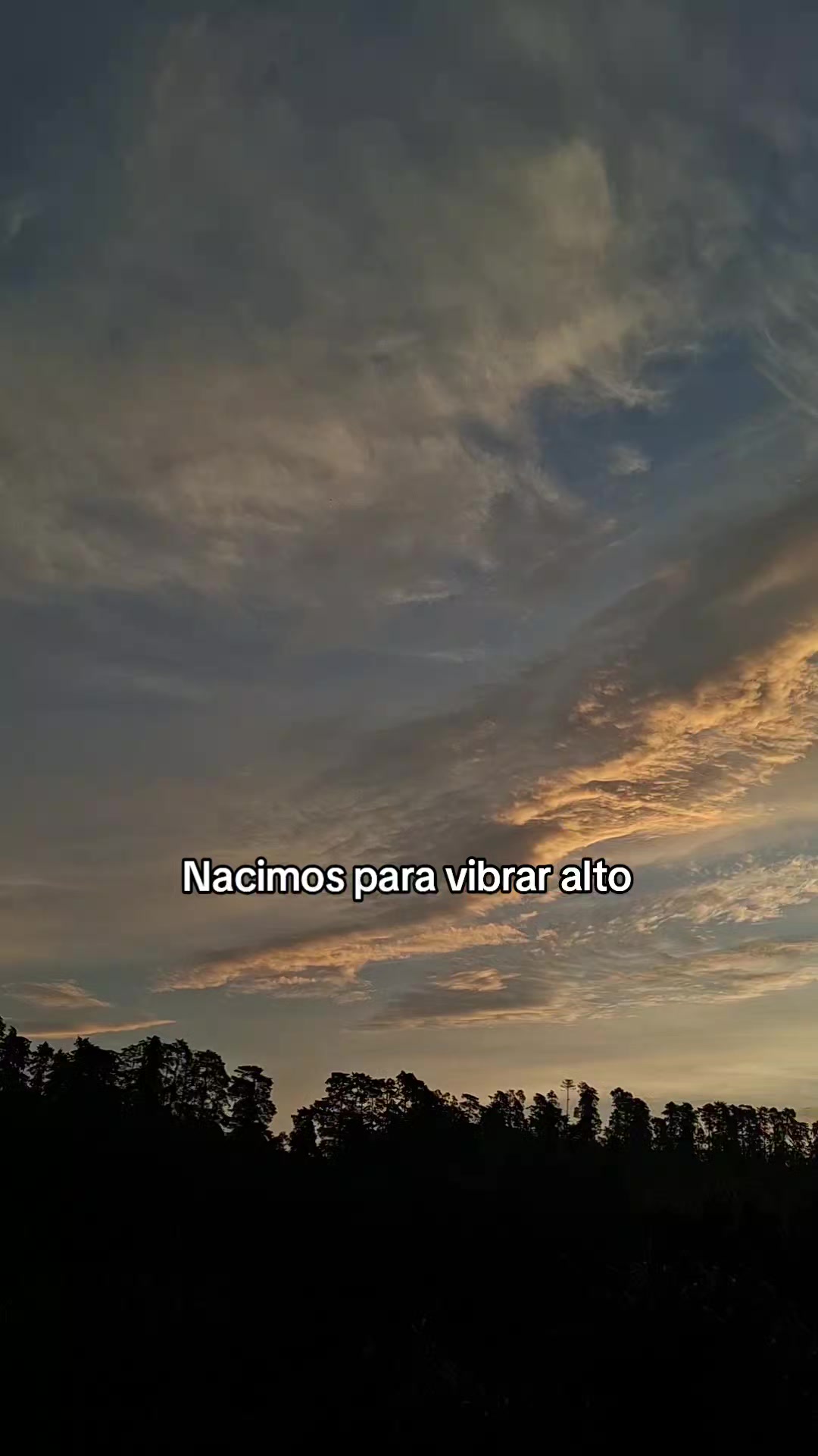 @Kevin Roa Betancourt