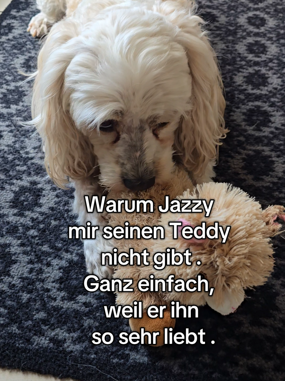 @Jazzy&Oscar's Hundeblog