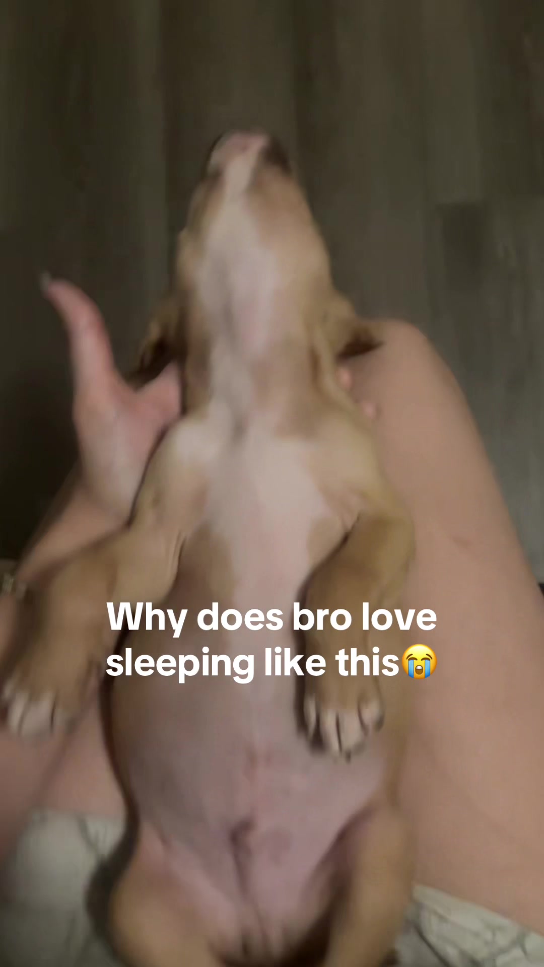 @kiara