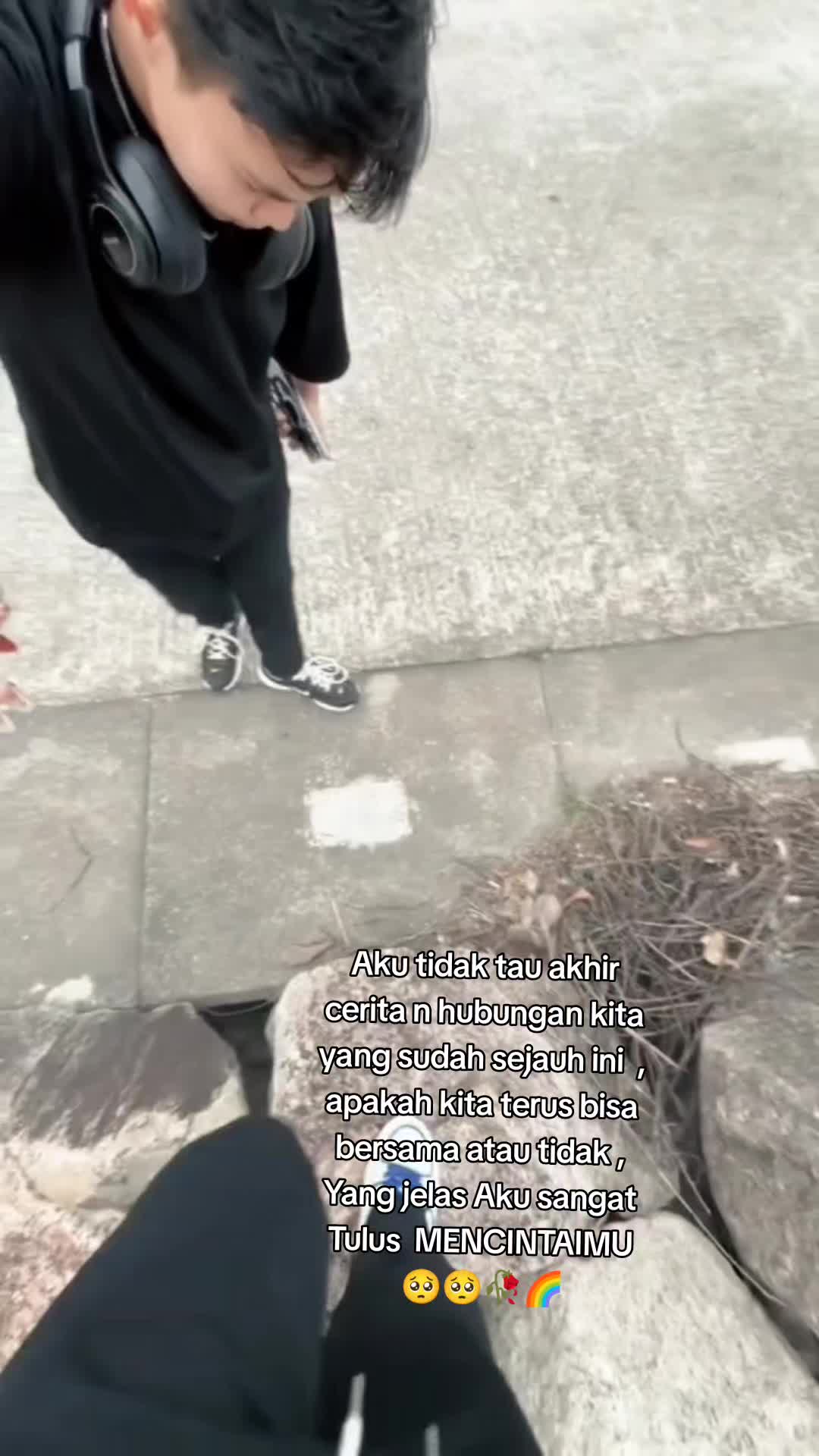 @🕊️ T