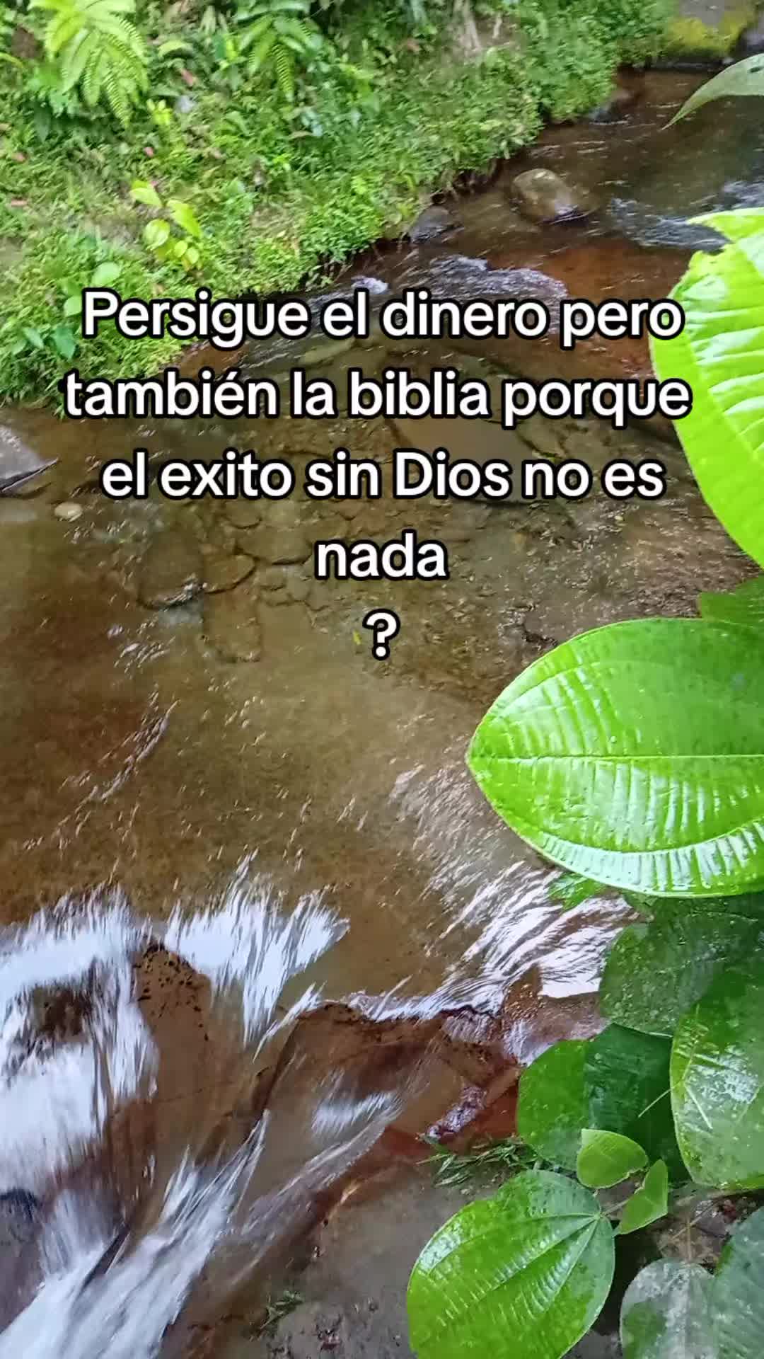@ZOBEYDAPOMITA