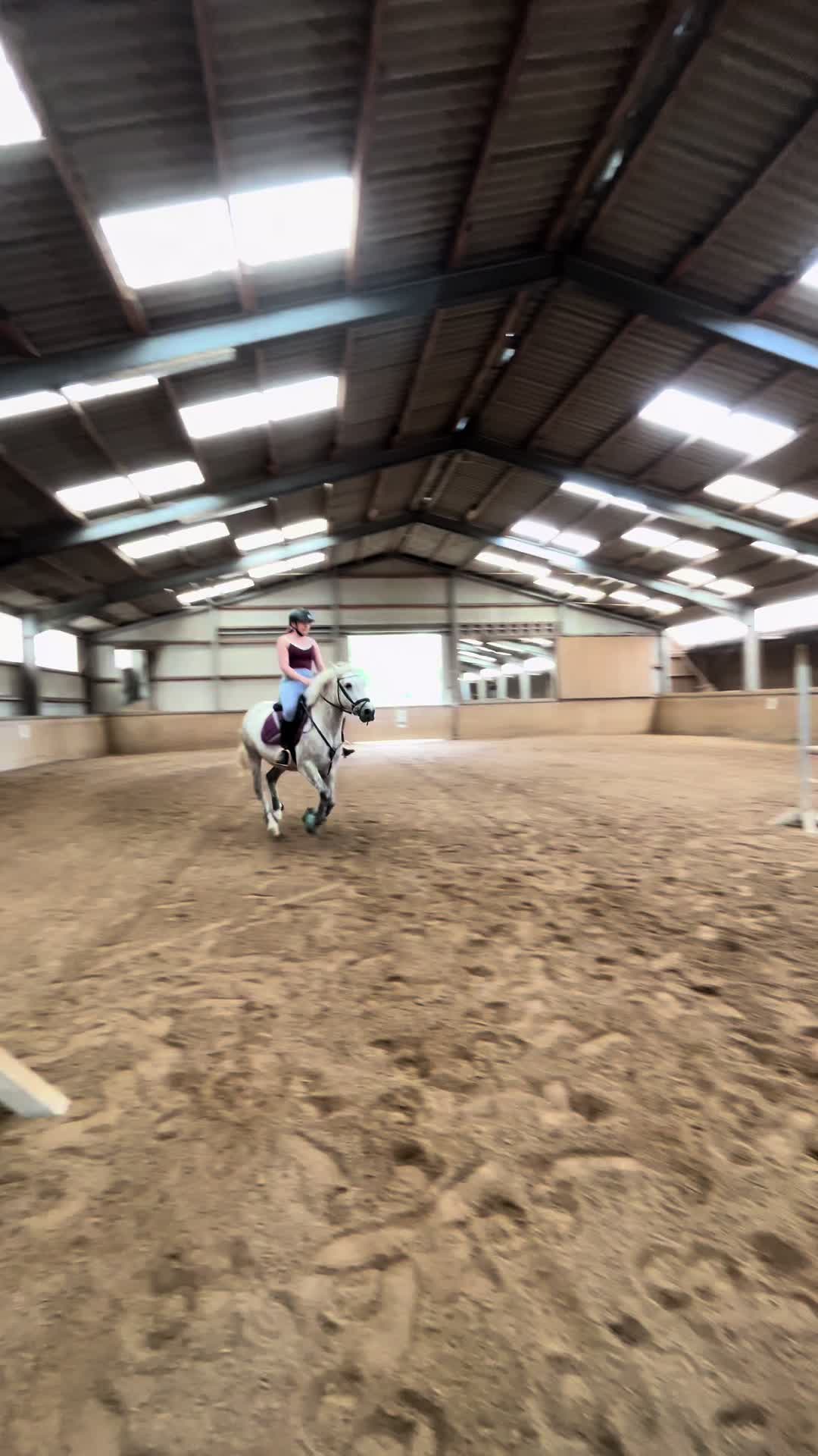 @sunny_the_pony20