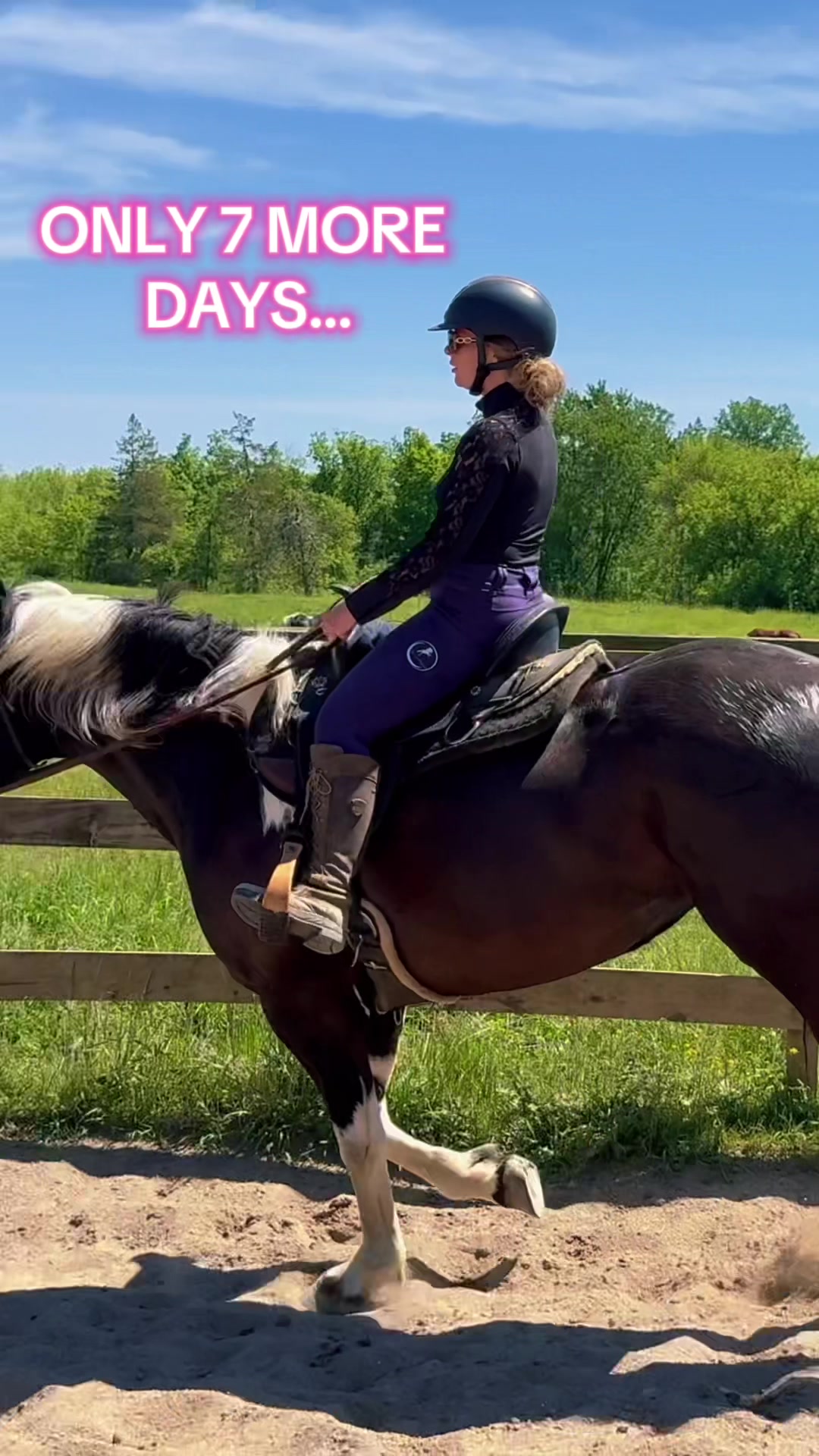 @Free Spirit Equestrian