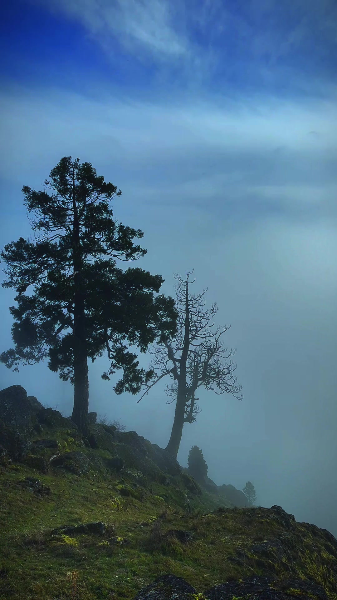 @oregon.pnw