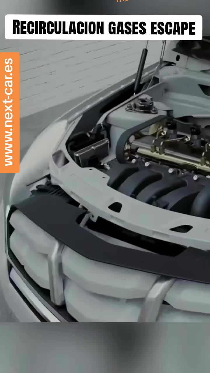 @Nextcar Servicios Periciales