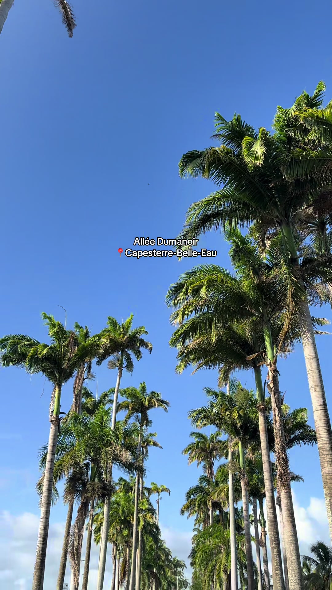@𝑇𝑒𝑠𝑠𝑎 🎀