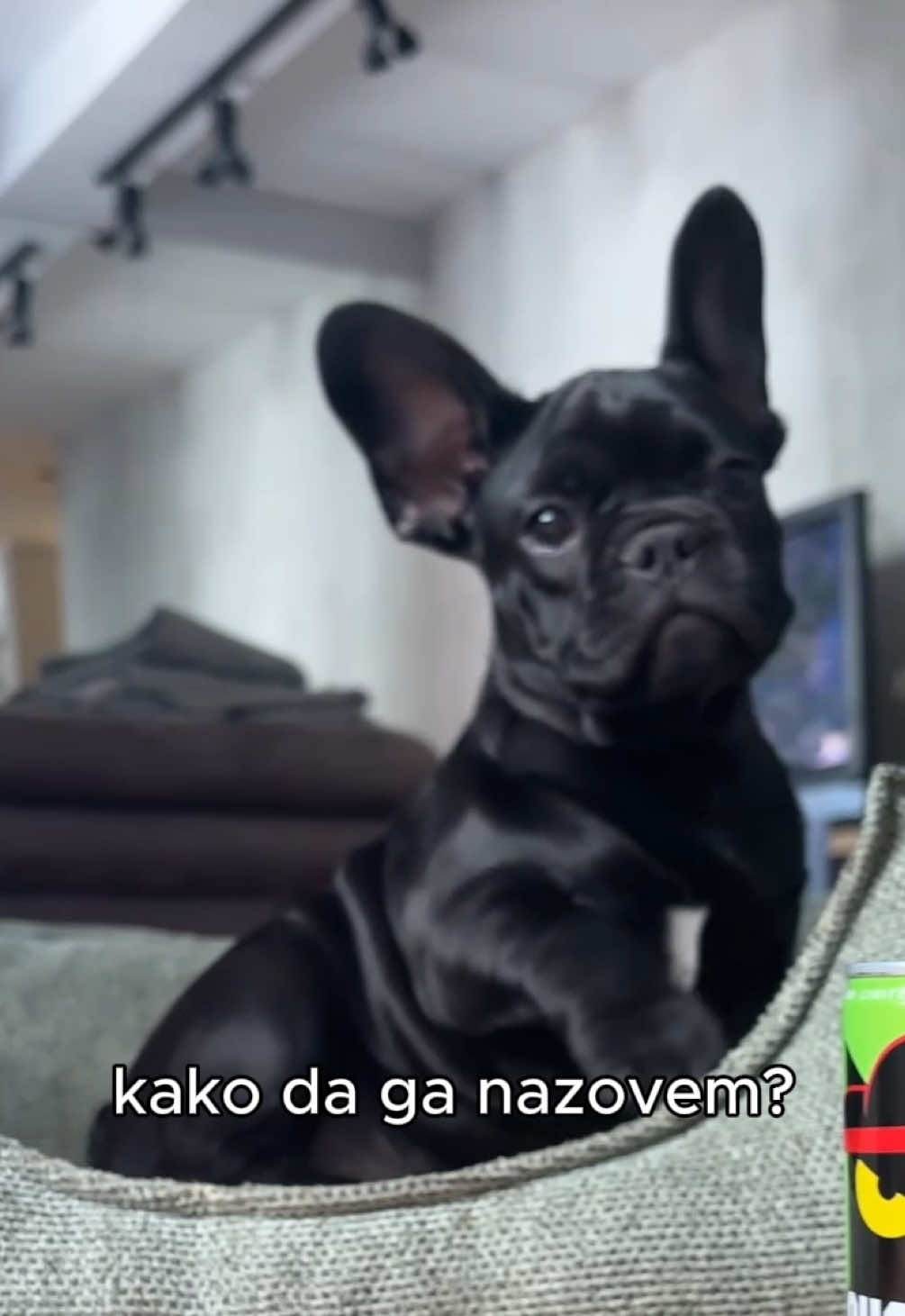 @Velja