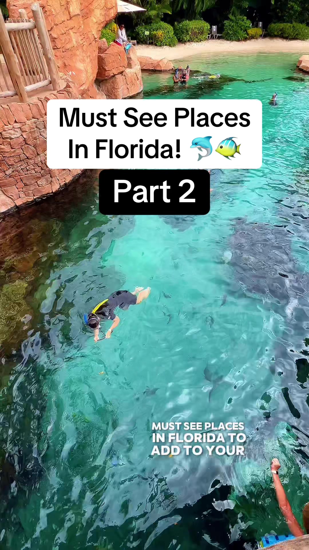 @thefloridaqueenie