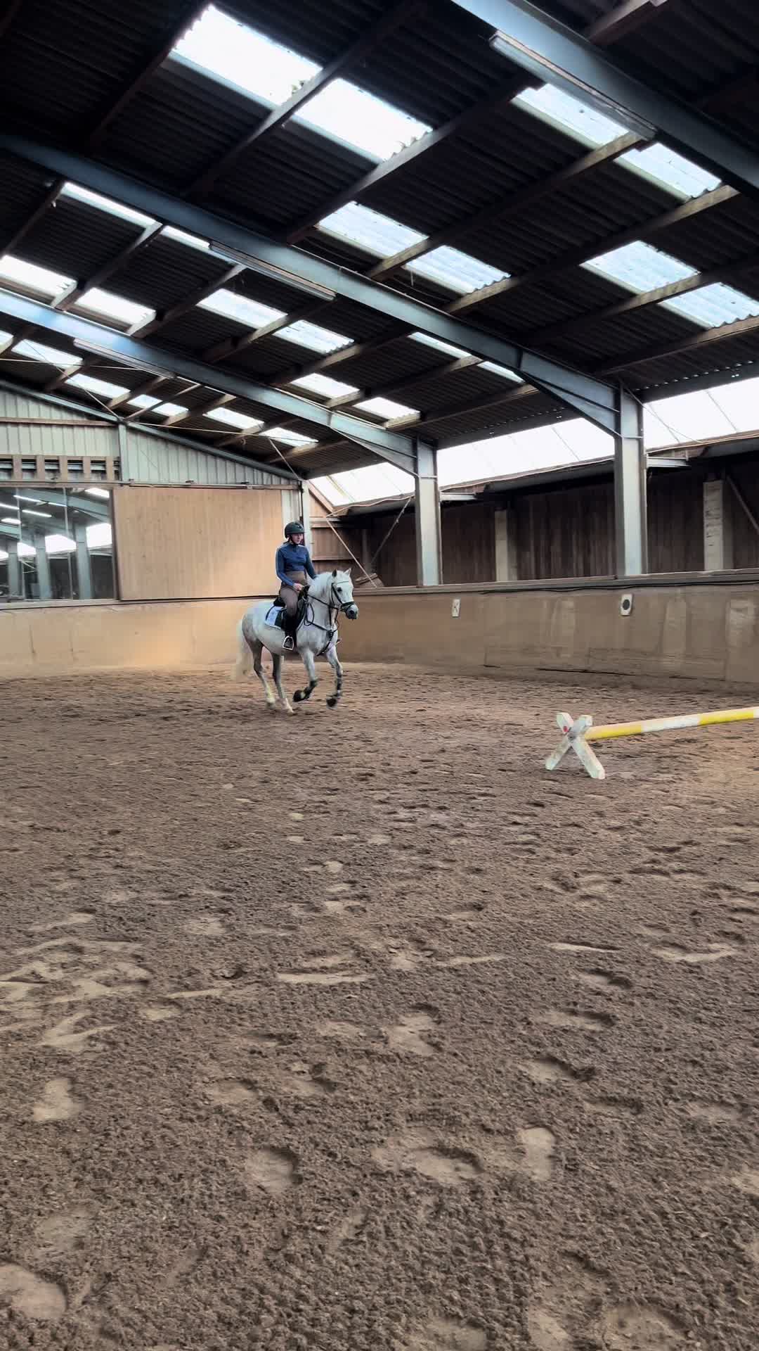 @sunny_the_pony20