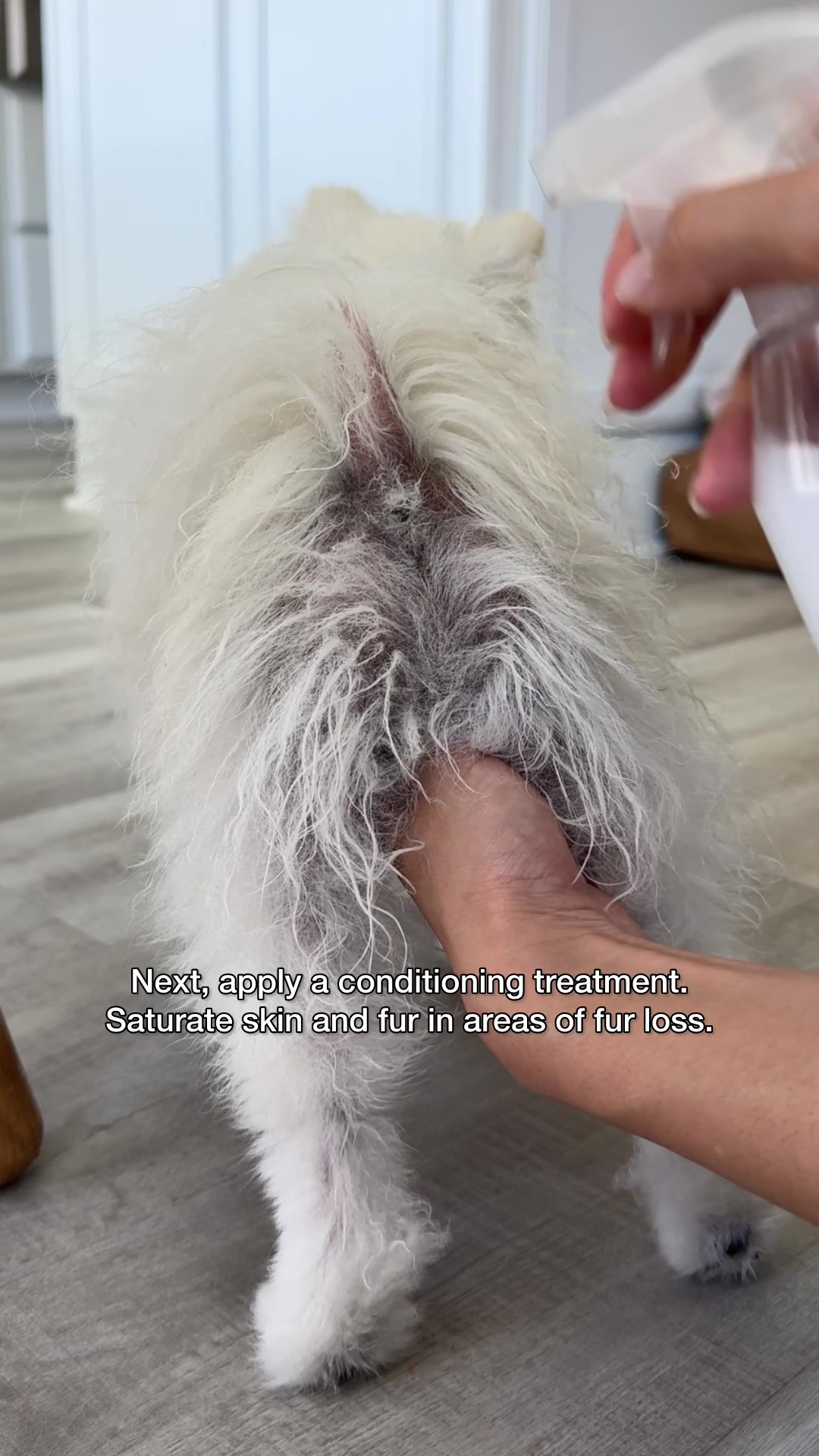 @Pupwell