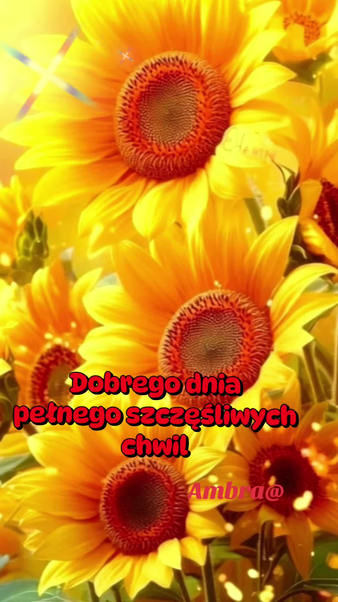 @Ambra@