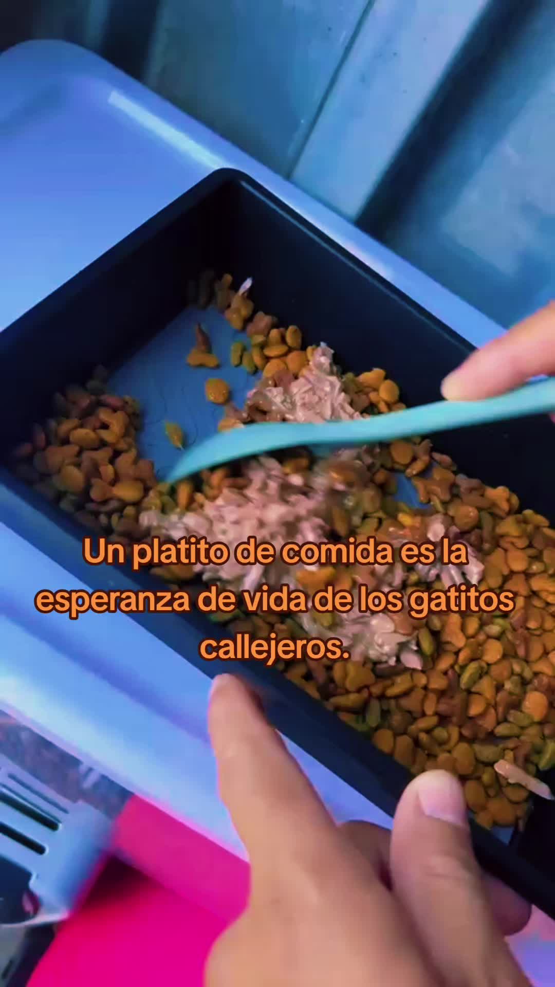 @🇲🇽Guli.Carrada 🐈&zwj;⬛