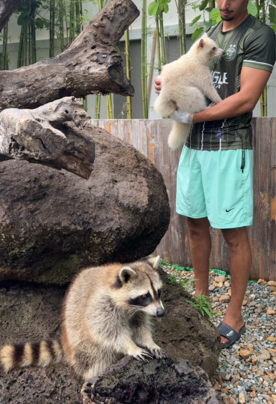 @Tarzane 🦍