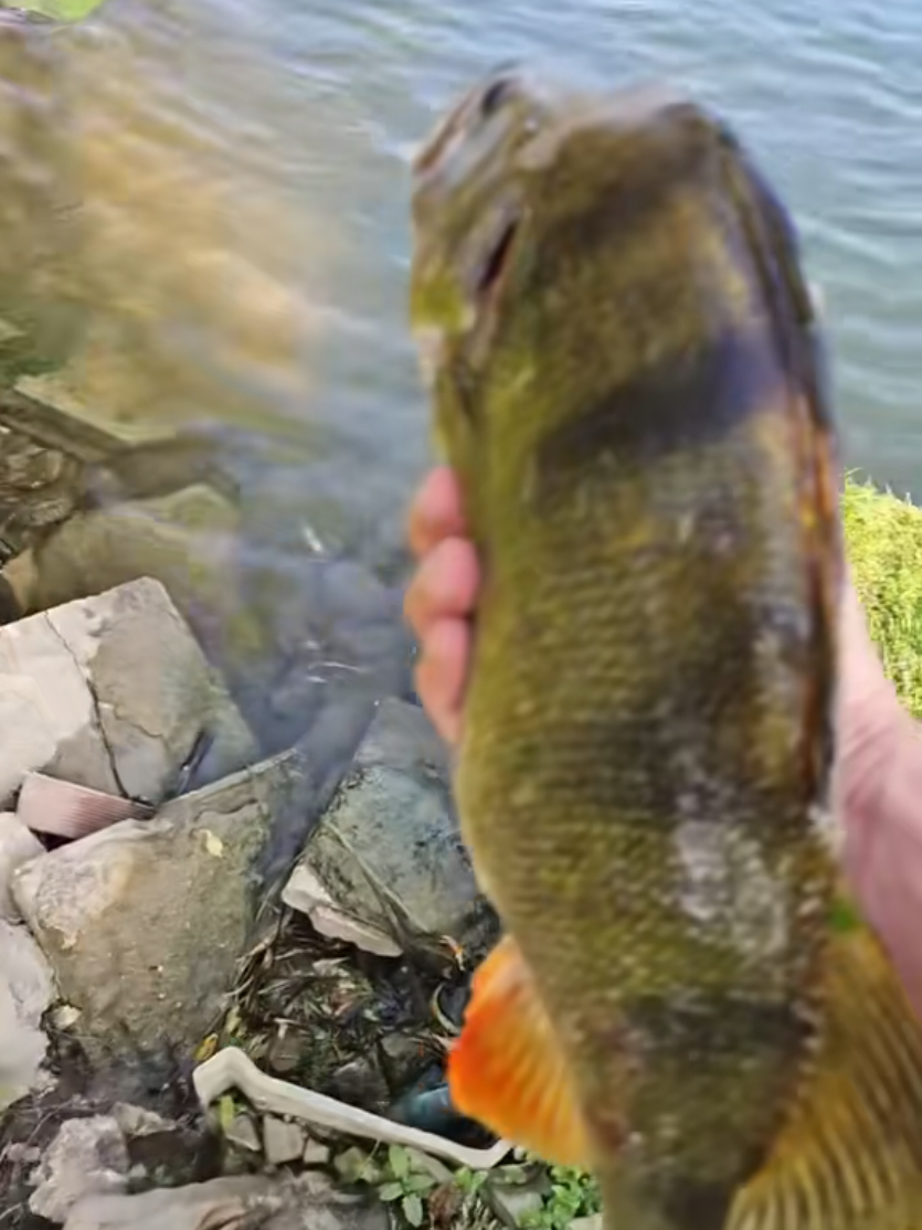 @🎣Max.Fishing27🎣
