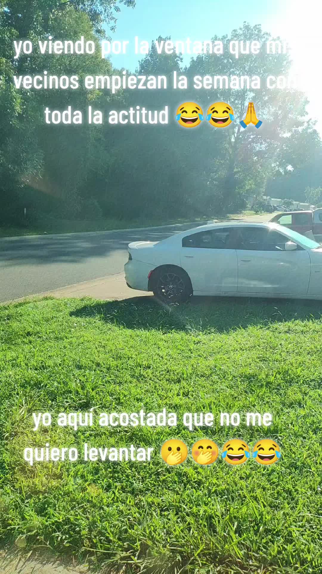 @Pincheloca🤗