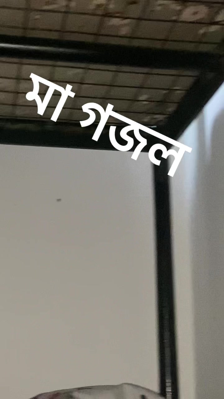 @Prince Abir